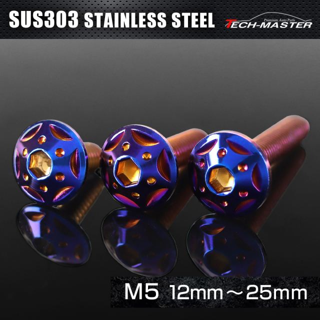 ステンレス 六角穴付 ボタンボルト スターホールヘッド M5×12mm～25mm 焼きチタンカラー TR0242CHOICE 【メール便可】