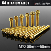 チタンボルト フランジボルト ワイヤリング 六角穴付 M10×20mm
