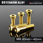モーティブ　リボルト　新品 チタンボルト 低頭 ローヘッド トルクス穴 キャップボルト M8×20mm