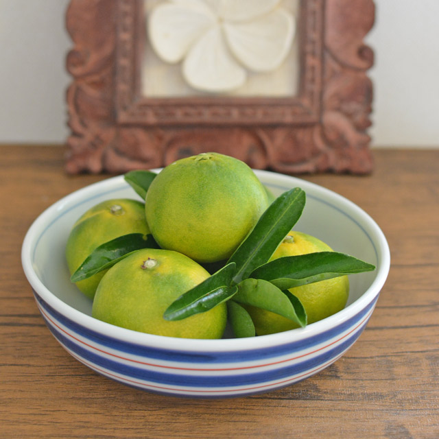 和食器・砥部焼　あい赤ラインの平鉢(6寸)