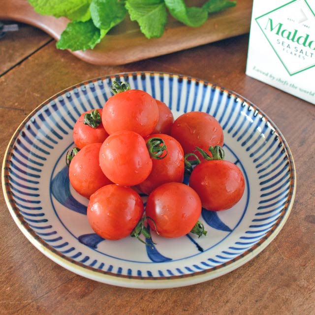 和食器・砥部焼　縁紅とくさ唐草の切立丸皿(6寸)