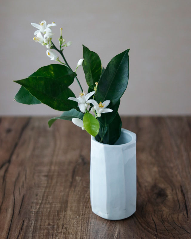 ぶどうと葉の装飾の陶器花瓶 ぶどうと葉の装飾の陶器花瓶