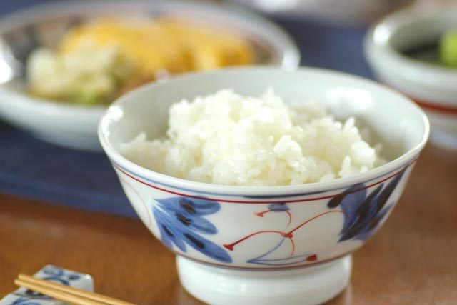 【砥部焼 陶房遊】しだ紋の茶碗(大)