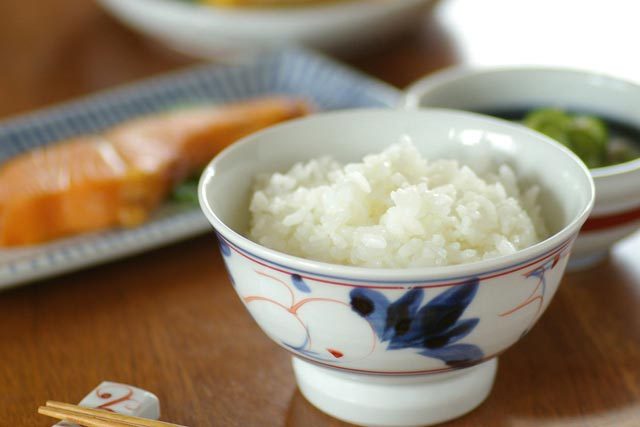 【砥部焼 陶房遊】しだ紋の茶碗(小)