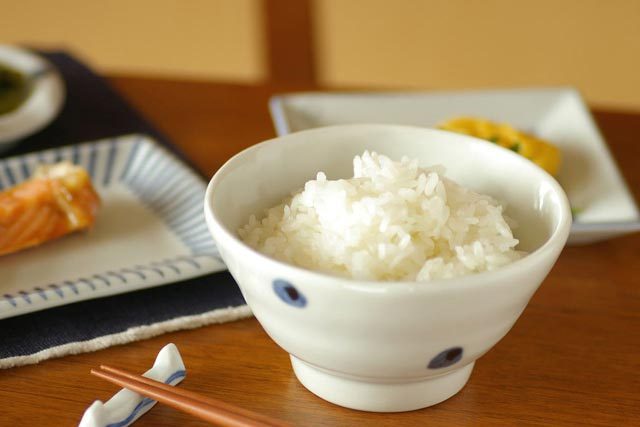 【砥部焼 梅乃瀬窯】水玉もようの茶碗