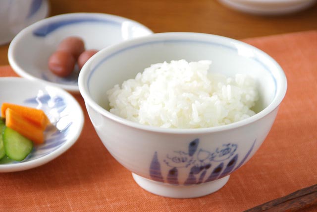 【砥部焼 森陶房】すいせんの茶碗