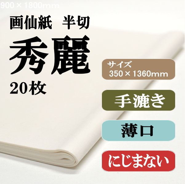 秀麗20枚