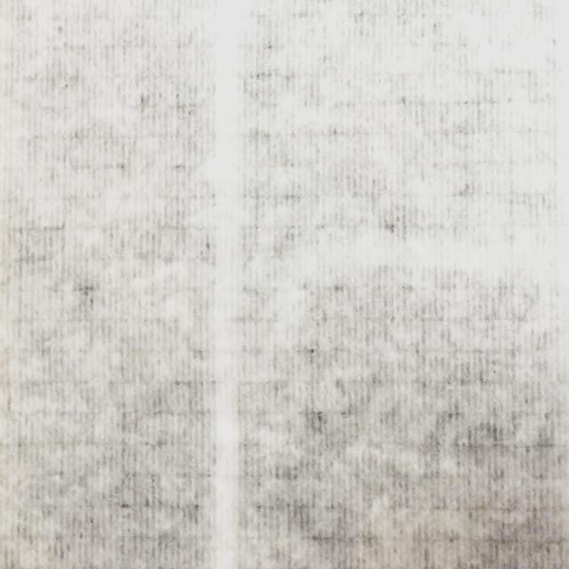 画仙紙 和光羅紋