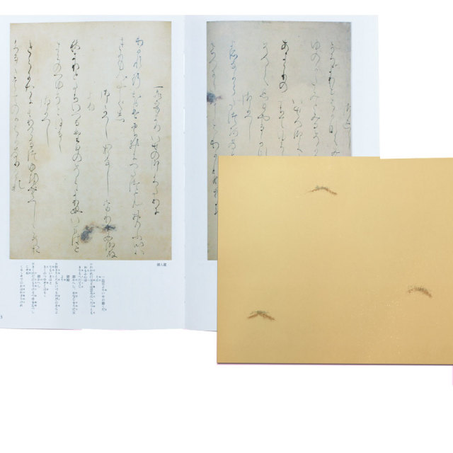 小島切練習用紙 臨書用紙