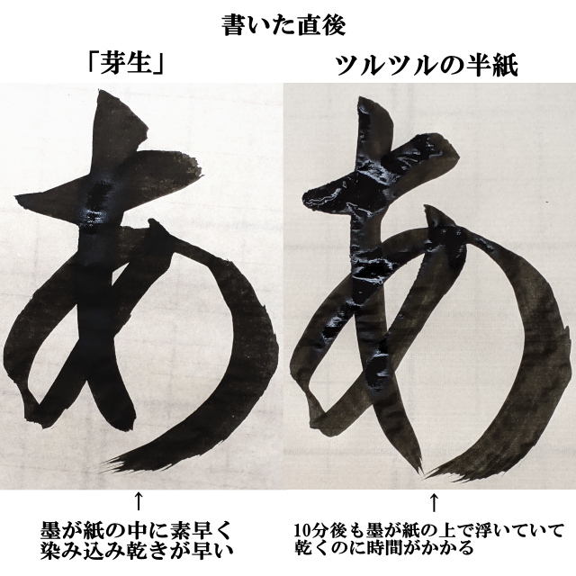 環境にやさしい書道半紙芽生