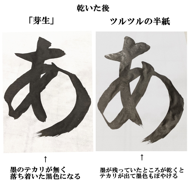 環境にやさしい書道半紙芽生