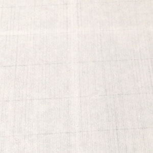 手漉き画仙紙都鳥