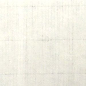 手漉き画仙紙雷神