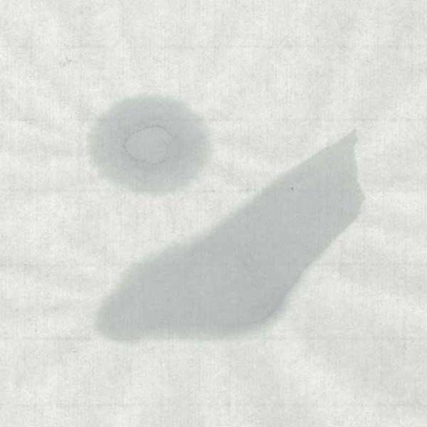 手漉き画仙紙竹林