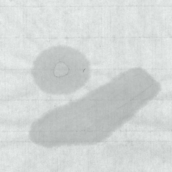 書道　絹本半切 20枚 書道 絹本半切 20枚 書道 絹本半切 20枚