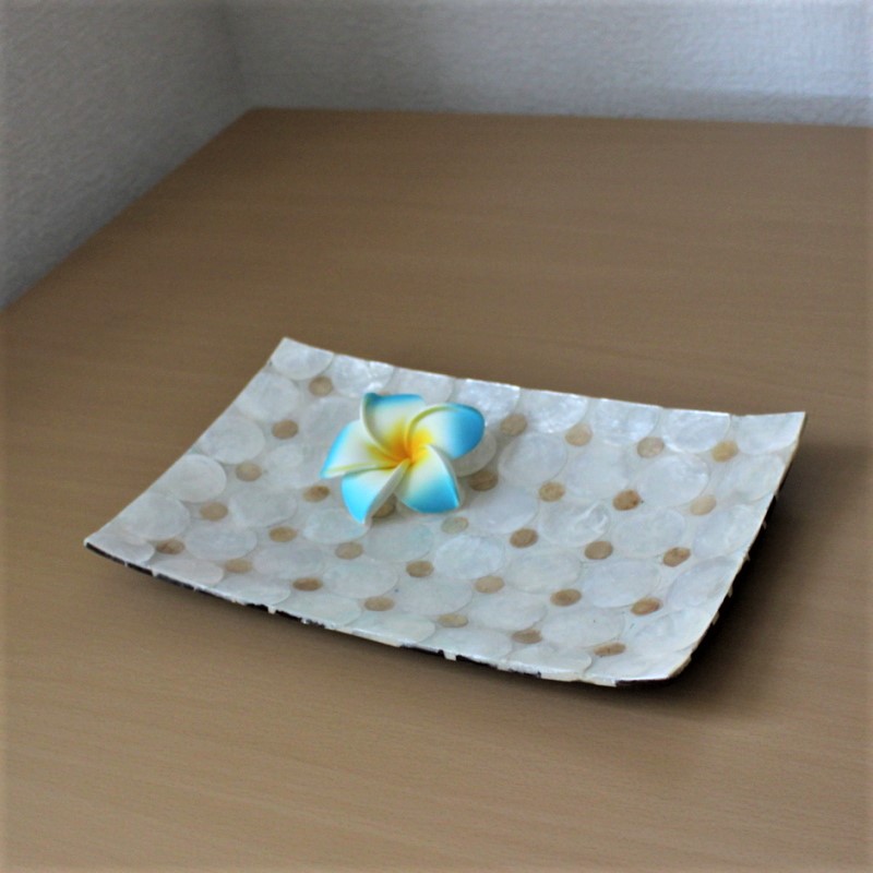 シェルとウッドのレクタングルトレー（水玉模様）