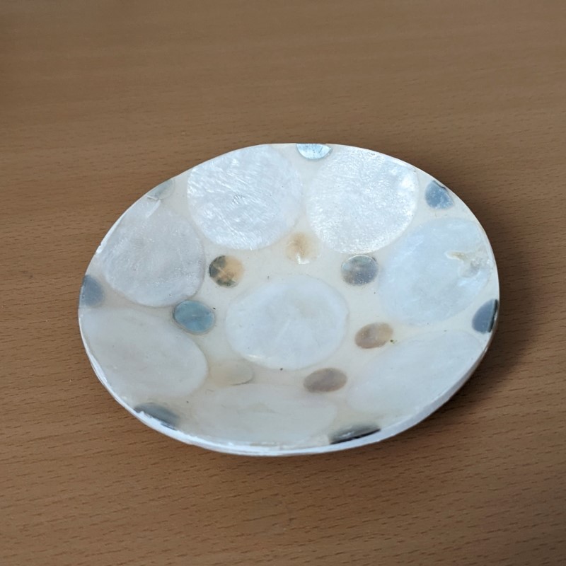 シェルのプチトレー