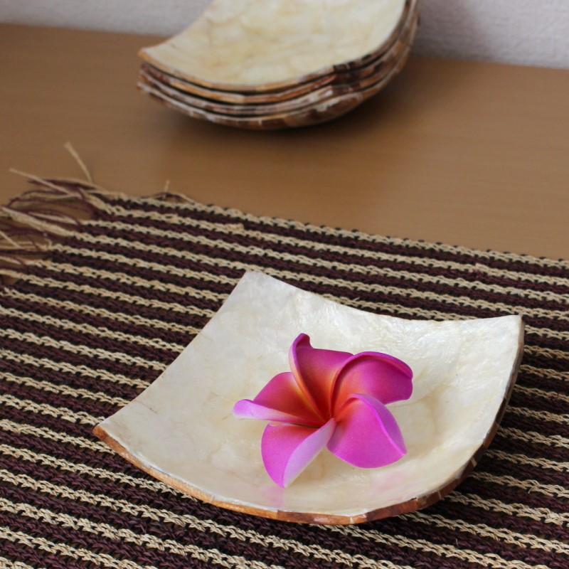 シェルとウッドのスクエアトレー