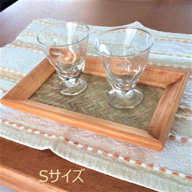 ゴックのアジアントレー（使用イメージ）Sサイズ