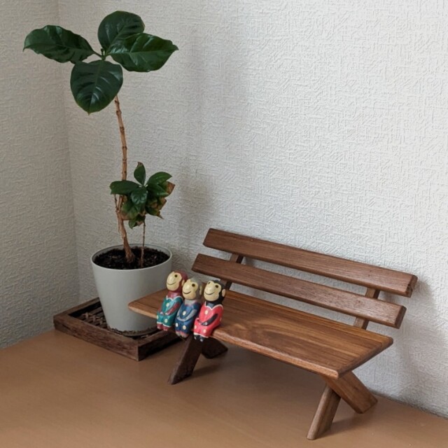 チークのディスプレイベンチ（使用イメージ）