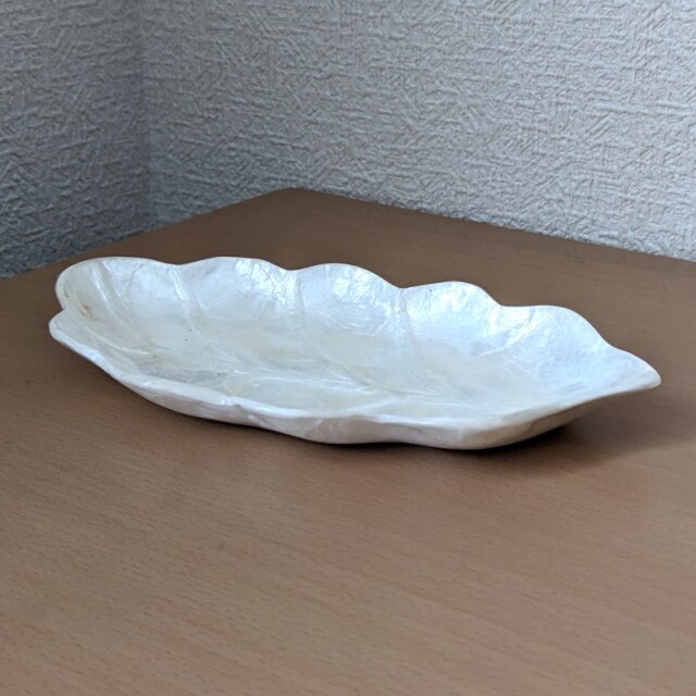 カピスシェルのリーフトレー
