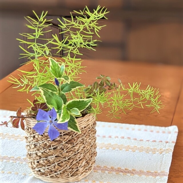 シーグラスのミニバスケット（使用イメージ）
