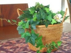 バリ雑貨　アタかご