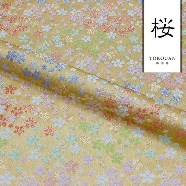 kinran-shokubu018-02.jpg?t=