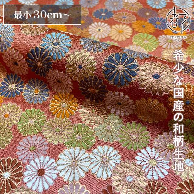 和柄 生地 京都 西陣織 金襴生地 菊づくし (全2色) 10cm単位 切り売り