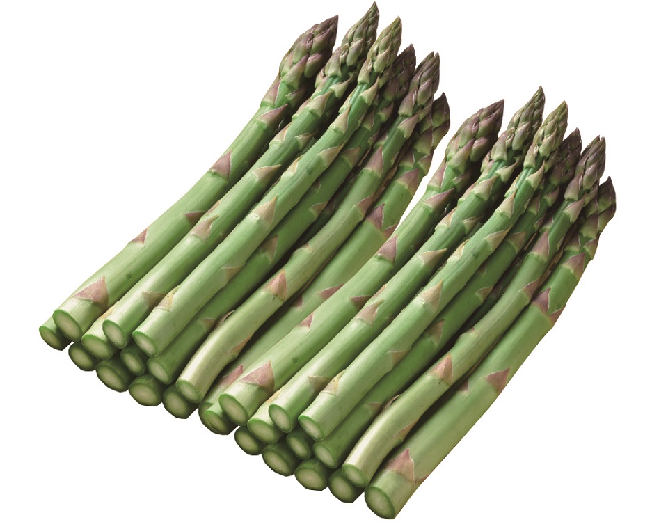 【早期割引】＜北海道産＞グリーンアスパラガス　約１ｋｇ（Ｌサイズ）　【００１】