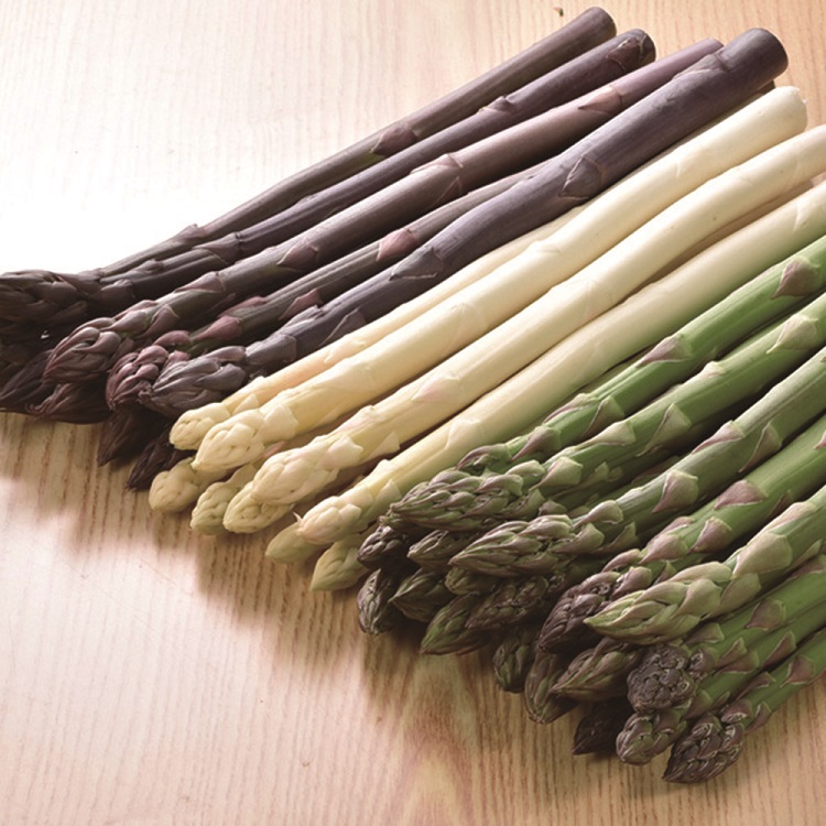 ＜北海道産＞グリーンアスパラガス・ホワイトアスパラガス・パープルアスパラガス　約１．５ｋｇ　【００７】