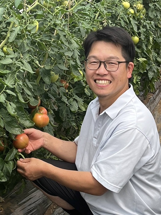 ＜仁木産＞戸嶋さんちのフルーツトマト　約１ＫＧ入１箱（９～１５玉）　【００５】