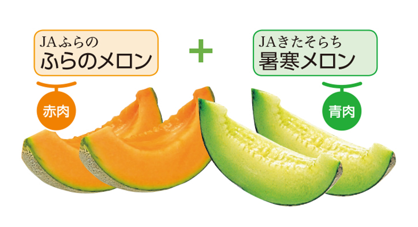 ＪＡふらの　ふらのメロン＆ＪＡきたそらち　暑寒メロンセット秀品　各１玉入（１玉／約１．６ｋｇ）　【０３６】
