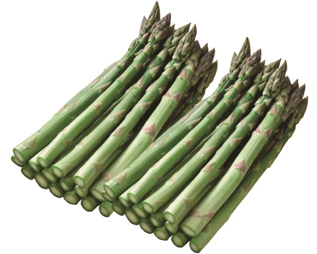 【ネットショップ限定】<JA幕別町>助川さんのグリーンアスパラガス 約800g(2Lサイズ) 【020】