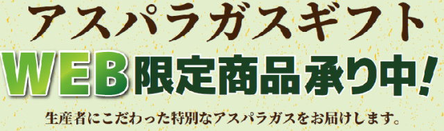 【ネットショップ限定】＜ＪＡ幕別町＞助川さんのグリーンアスパラガス　約８００ｇ（２Ｌサイズ）　【０２０】