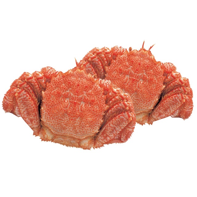 原料原産地名 北海道(オホーツク海) ボイル毛がに 特大 2ハイ(1パイ約640g) 【C】