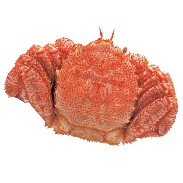 原料原産地名 北海道(オホーツク海) ボイル毛がに 特特大 1パイ約980g 【E】