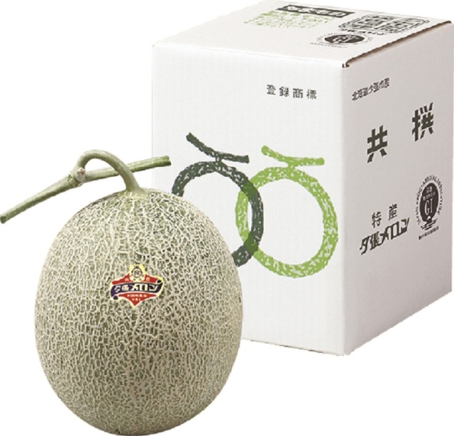 夕張メロン　良品　１玉入（１玉／約１．３ｋｇ）　【０１５】