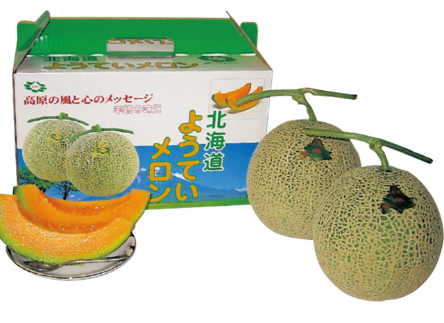 ＪＡようてい　ようていメロン優品　２玉入（１玉／約１．３ｋｇ）　　【０４０】
