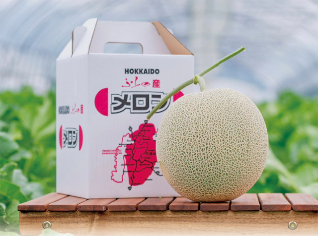 富良野市山部地区　榎本農園　赤肉メロン秀品　1玉入（１玉／約１．６Kｇ）　　【０２８】