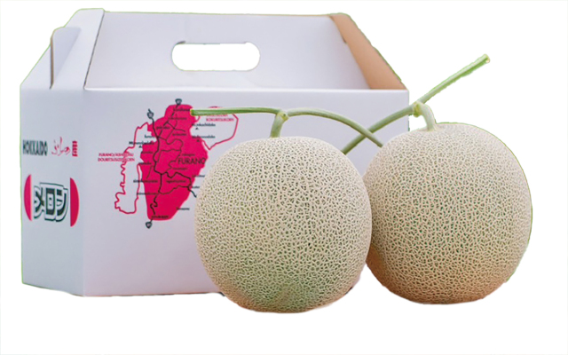 富良野市山部地区　榎本農園　赤肉メロン秀品　２玉入（１玉／約１．６Kｇ）　　【０２９】