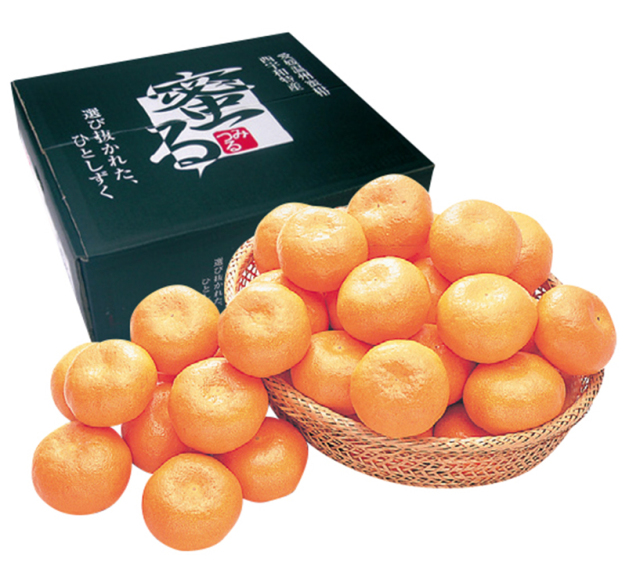 【早期割引商品】愛媛県　ＪＡ西宇和みつる共選　蜜るみかん　【１８８】