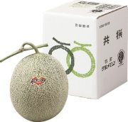 夕張メロン　良品　１玉入（１玉／約１．３ｋｇ）　【０１５】