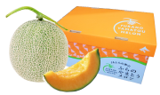 WEB限定！ＪＡふらの東山支所　やまとうメロン　２玉入（１玉／約２ｋｇ）　【秀品】　【０４３】
