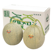 夕張メロン　秀品　２玉入（１玉／約１．３ｋｇ）　【０１２】