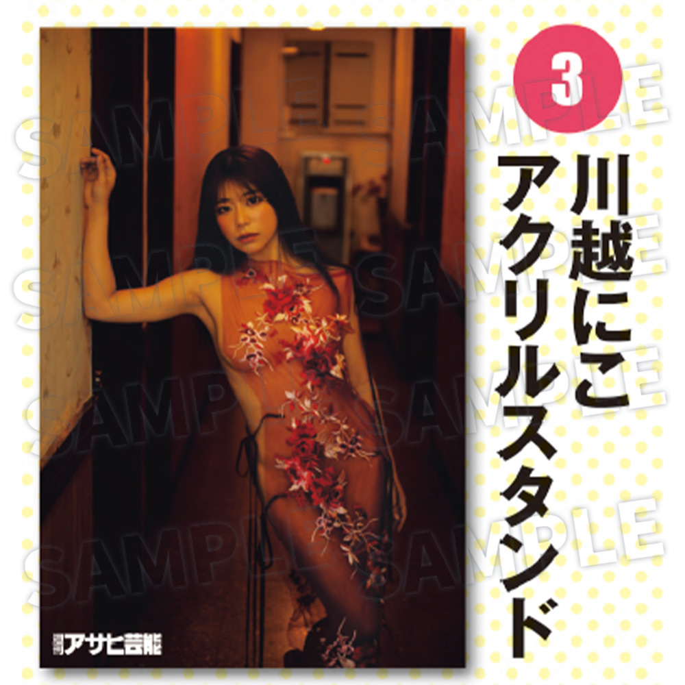 【週刊アサヒ芸能７月 応募者全員サービス】３川越にこ　アクリルスタンド（送料・消費税・事務手数料込み）