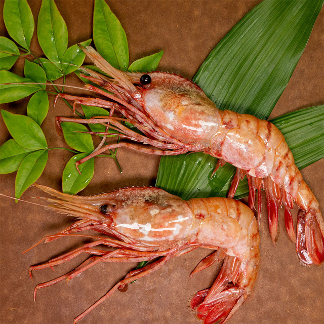 ボタンえび盛付け例