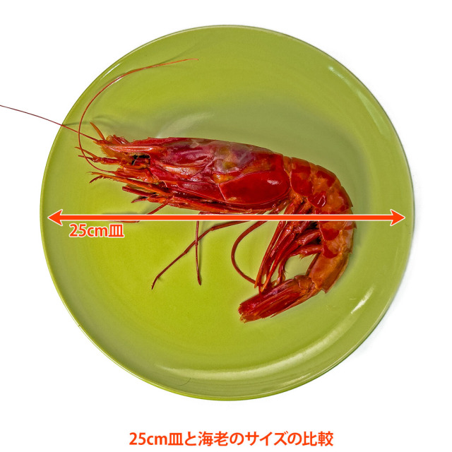 カラビネーロ 25cm皿との比較