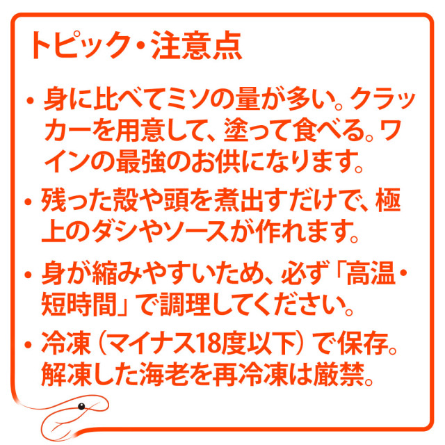 カラビネーロ トピック