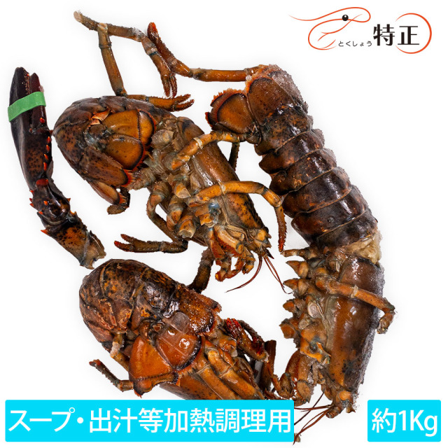 スープ／出汁用オマール海老